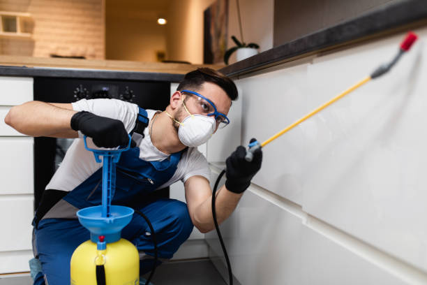 Best Local Pest Control Services  in Chelan, WA