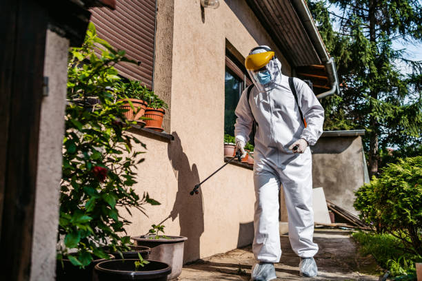 Best Rodent Control Near Me  in Chelan, WA