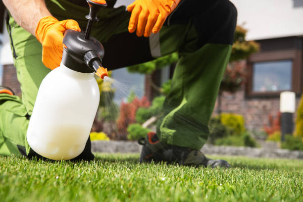 Best Residential Pest Control  in Chelan, WA