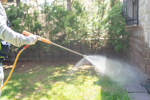 Best Insect Control  in Chelan, WA