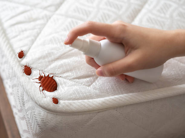 Best Flea Control Services  in Chelan, WA